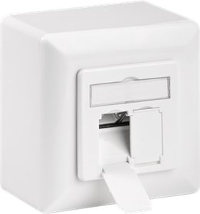 CAT 6A Universal Wall Plate Incl. On-Wall Mounting Frame