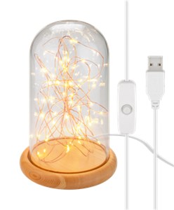 Glass Bell with Micro LED Light Chain